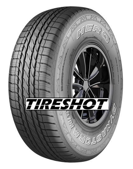 Hero Dynastorm HT Tire